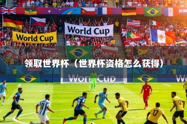 领取世界杯（世界杯资格怎么获得）