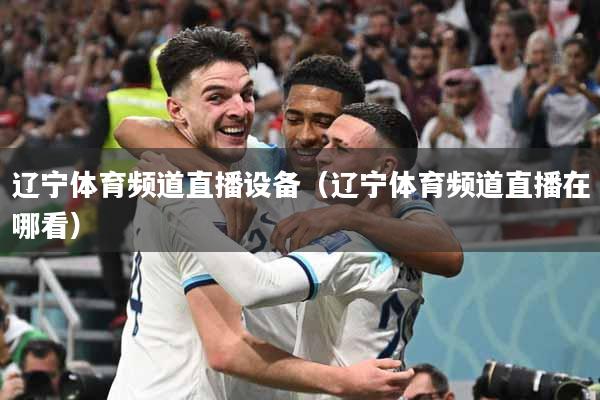 辽宁体育频道直播设备（辽宁体育频道直播在哪看）