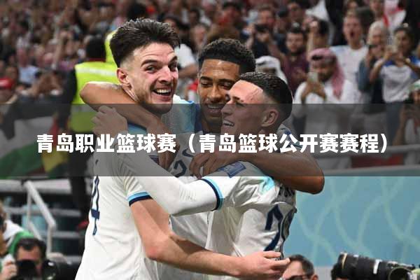 青岛职业篮球赛（青岛篮球公开赛赛程）