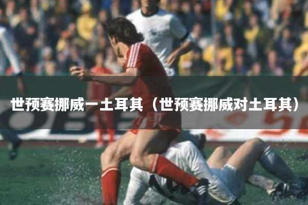 世预赛挪威一土耳其（世预赛挪威对土耳其）