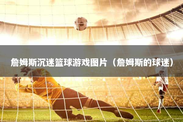 詹姆斯沉迷篮球游戏图片（詹姆斯的球迷）