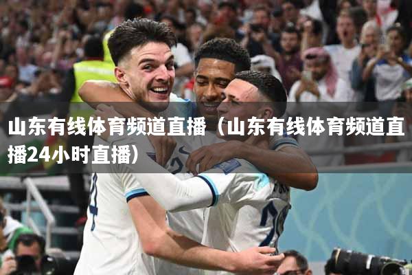 山东有线体育频道直播（山东有线体育频道直播24小时直播）