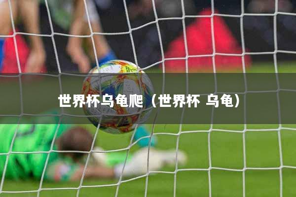 世界杯乌龟爬（世界杯 乌龟）