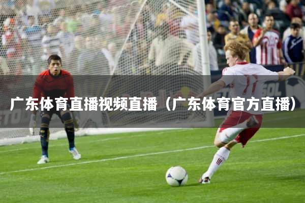 广东体育直播视频直播（广东体育官方直播）