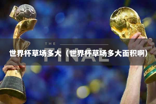 世界杯草场多大（世界杯草场多大面积啊）