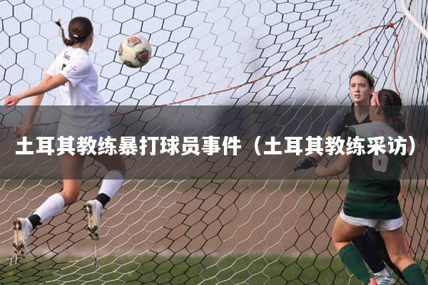 土耳其教练暴打球员事件（土耳其教练采访）