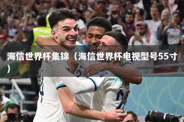 海信世界杯集锦（海信世界杯电视型号55寸）