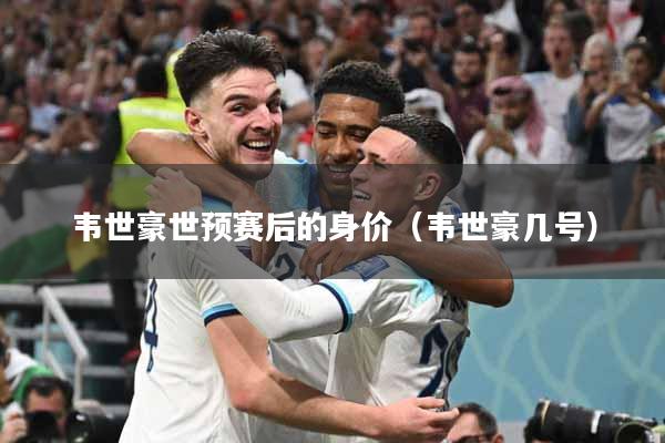 韦世豪世预赛后的身价（韦世豪几号）