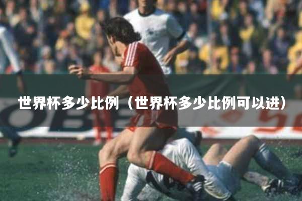 世界杯多少比例（世界杯多少比例可以进）